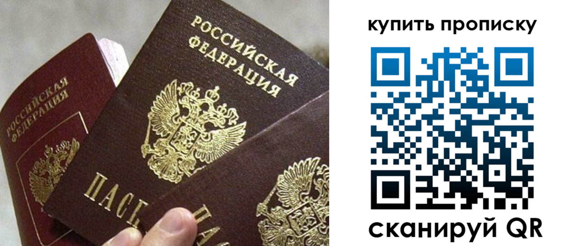 прописка для школы в Курганской области
